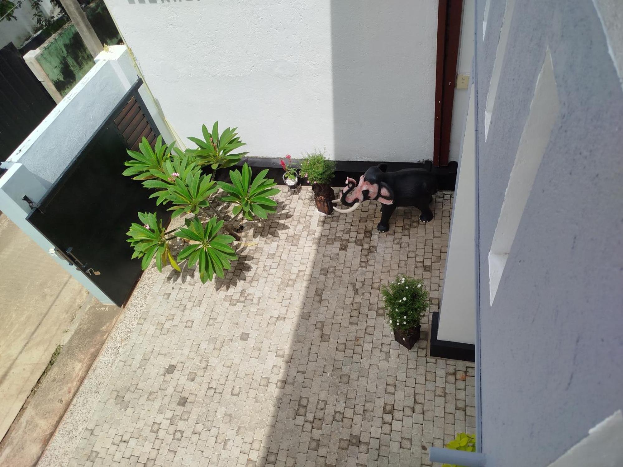 Hotel Elzangi à Negombo Chambre photo